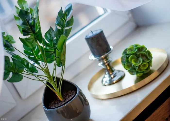 Guest house *clicktheflat* Wilcza 33 Street In The Center *